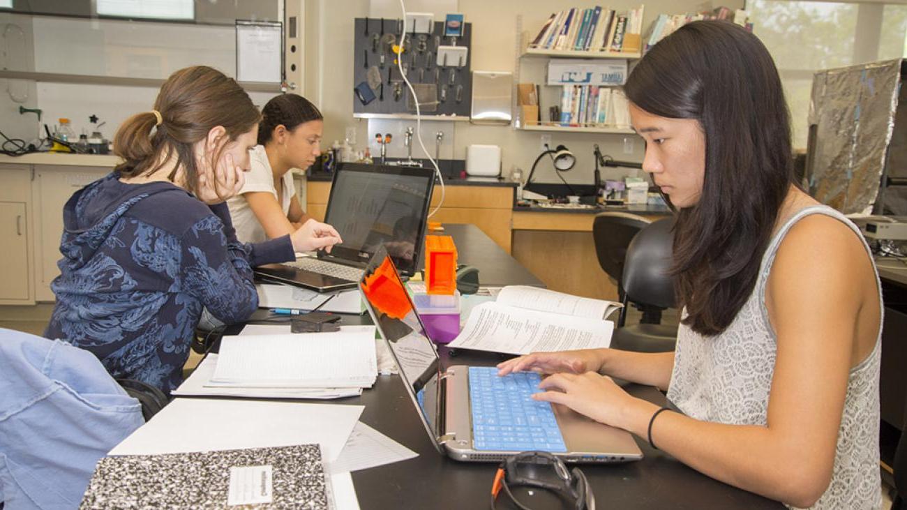 Summer research in Professor Karen Parfitt’s lab